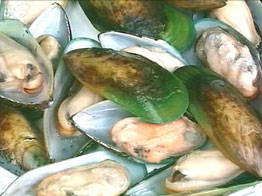 Open green mussels